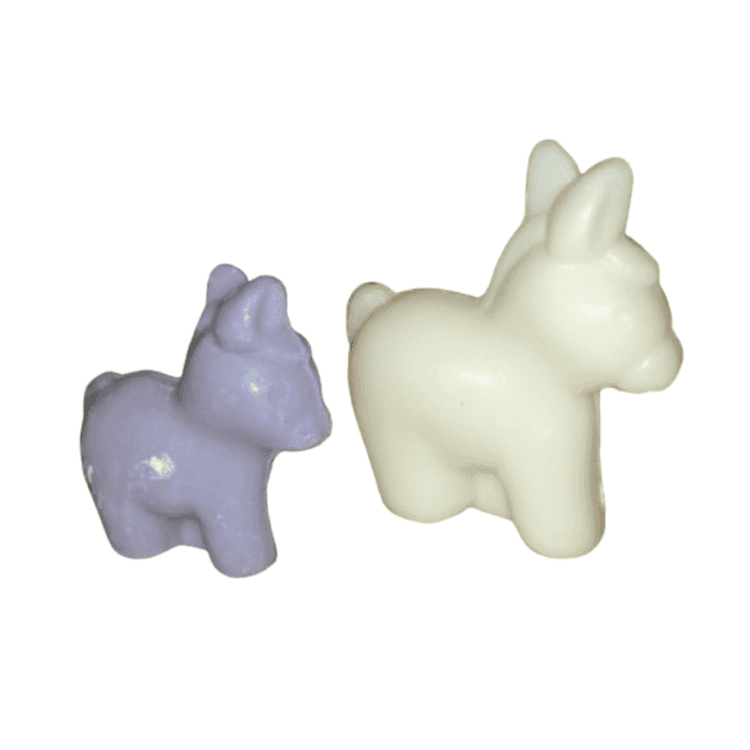 DUO : SAVON FORME ÂNE 60 GR