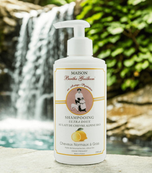 Shampoing cheveux normaux à gras BIO